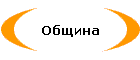 Община